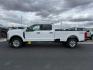 2024 WHITE /Medium Dark Slate Ford F-250 (1FT7W2BN8RE) with an 73L V-8 DEVCT variable valve control engine, Automatic transmission, located at 1175 N Woodruff Ave, Idaho Falls, ID, 83401, 43.506901, -111.999657 - At Timberline Auto, finding a great deal on your next vehicle is always easy! Our experienced sales staff's goal is to help find you the right vehicle at the right price! Our knowledgeable finance department has options for almost any credit score. We offer extended service contract options to prote - Photo#1