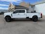 2024 WHITE /Medium Dark Slate Ford F-250 (1FT7W2BN8RE) with an 73L V-8 DEVCT variable valve control engine, Automatic transmission, located at 1175 N Woodruff Ave, Idaho Falls, ID, 83401, 43.506901, -111.999657 - At Timberline Auto, finding a great deal on your next vehicle is always easy! Our experienced sales staff's goal is to help find you the right vehicle at the right price! Our knowledgeable finance department has options for almost any credit score. We offer extended service contract options to prote - Photo#27