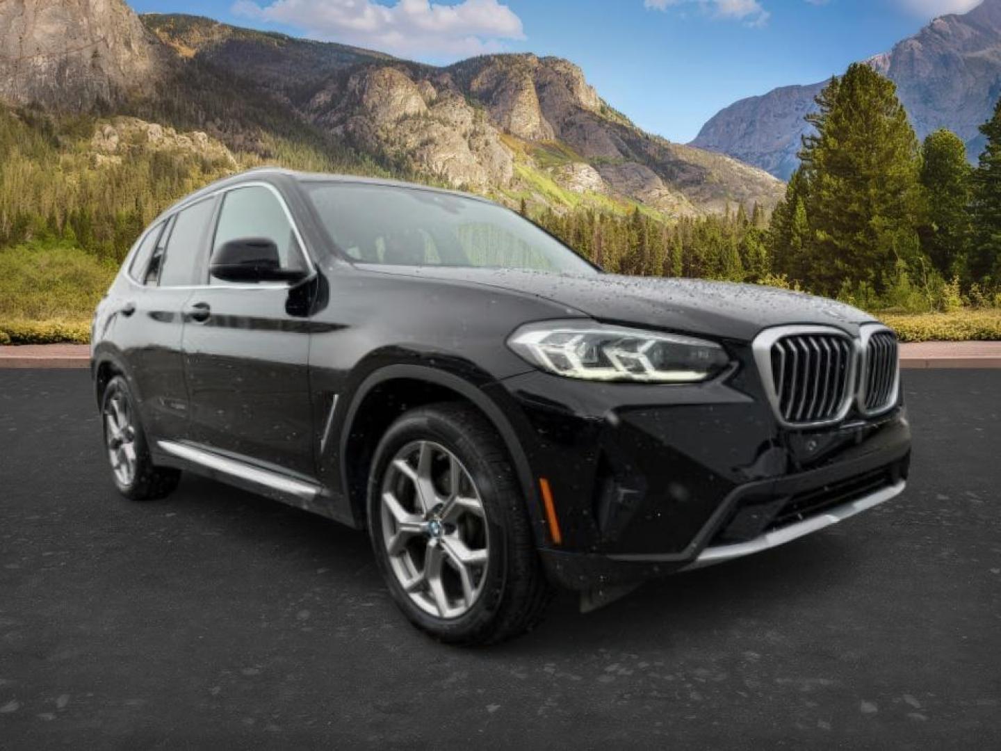 2024 BLACK /Black BMW X3 (5UX53DP00R9) with an 2L I-4 gasoline direct injection engine, Automatic transmission, located at 1175 N Woodruff Ave, Idaho Falls, ID, 83401, 43.506901, -111.999657 - At Timberline Auto, finding a great deal on your next vehicle is always easy! Our experienced sales staff's goal is to help find you the right vehicle at the right price! Our knowledgeable finance department has options for almost any credit score. We offer extended service contract options to prote - Photo#10
