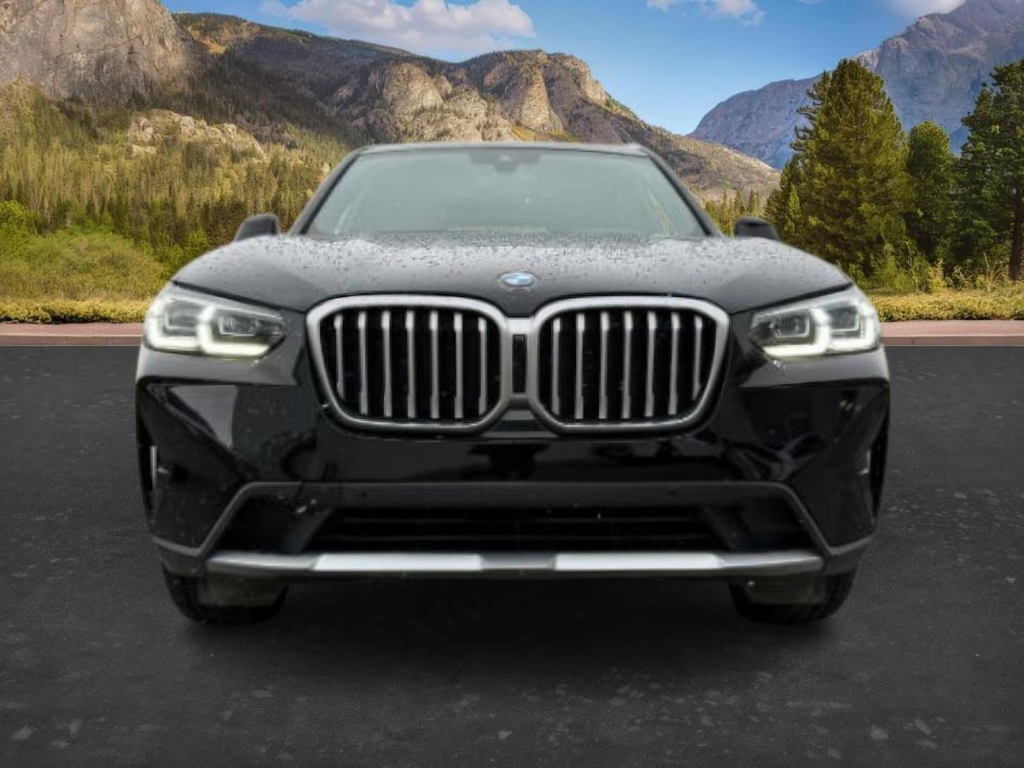 2024 BLACK /Black BMW X3 (5UX53DP00R9) with an 2L I-4 gasoline direct injection engine, Automatic transmission, located at 1175 N Woodruff Ave, Idaho Falls, ID, 83401, 43.506901, -111.999657 - At Timberline Auto, finding a great deal on your next vehicle is always easy! Our experienced sales staff's goal is to help find you the right vehicle at the right price! Our knowledgeable finance department has options for almost any credit score. We offer extended service contract options to prote - Photo#11