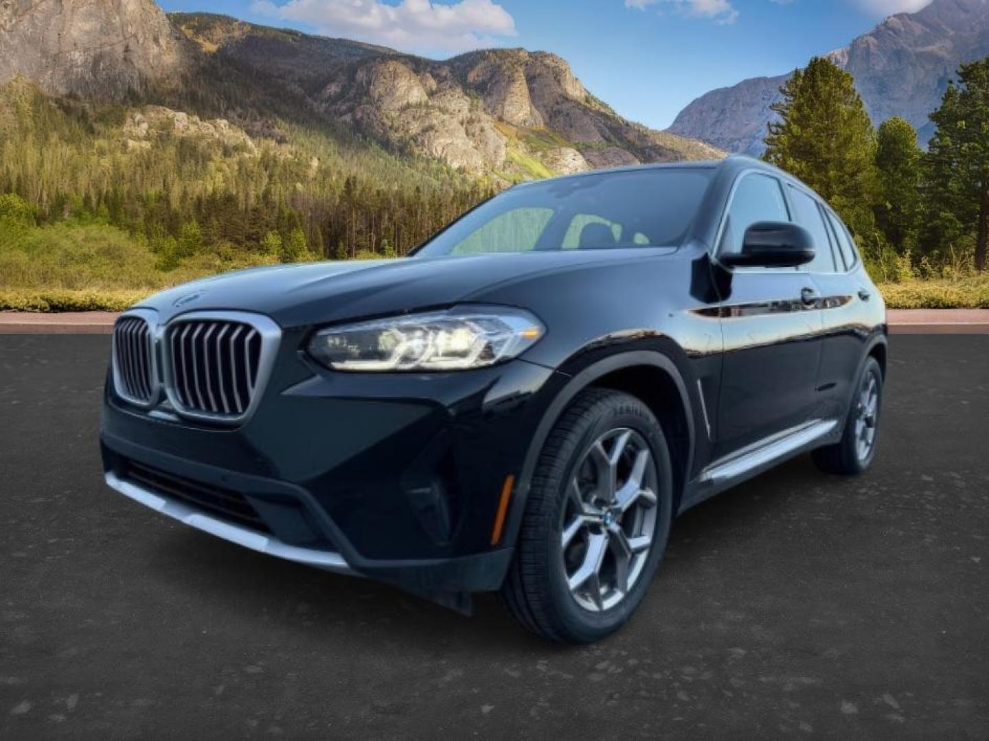 2024 BLACK /Black BMW X3 (5UX53DP04R9) with an 2L I-4 gasoline direct injection engine, Automatic transmission, located at 1175 N Woodruff Ave, Idaho Falls, ID, 83401, 43.506901, -111.999657 - At Timberline Auto, finding a great deal on your next vehicle is always easy! Our experienced sales staff's goal is to help find you the right vehicle at the right price! Our knowledgeable finance department has options for almost any credit score. We offer extended service contract options to prote - Photo#0