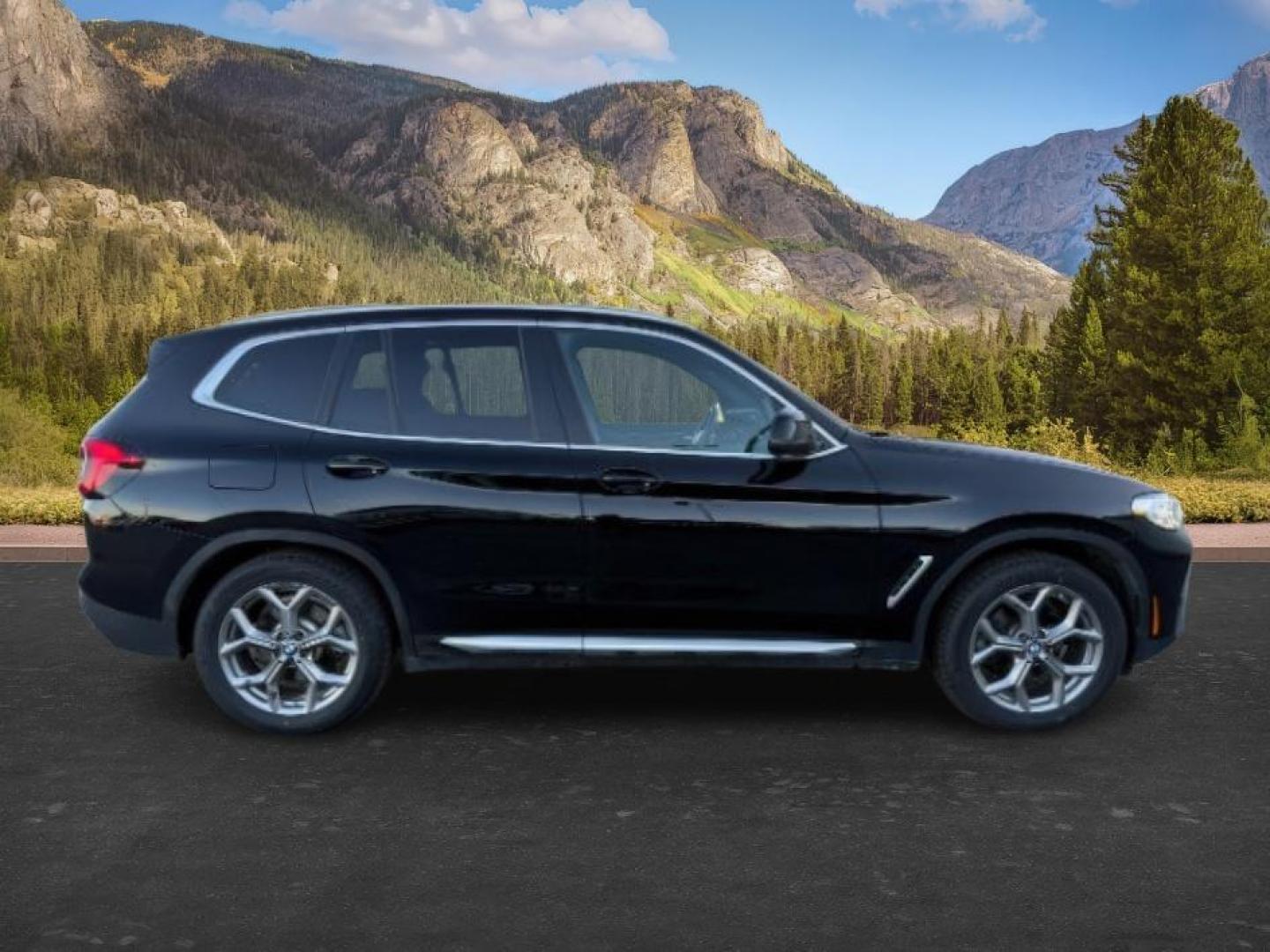 2024 BLACK /Black BMW X3 (5UX53DP04R9) with an 2L I-4 gasoline direct injection engine, Automatic transmission, located at 1175 N Woodruff Ave, Idaho Falls, ID, 83401, 43.506901, -111.999657 - At Timberline Auto, finding a great deal on your next vehicle is always easy! Our experienced sales staff's goal is to help find you the right vehicle at the right price! Our knowledgeable finance department has options for almost any credit score. We offer extended service contract options to prote - Photo#9