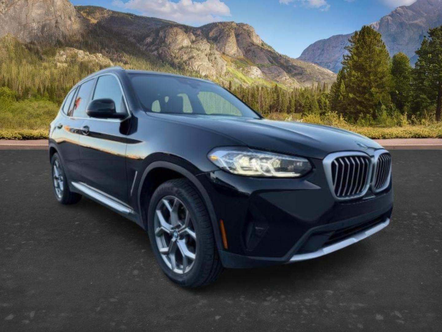 2024 BLACK /Black BMW X3 (5UX53DP04R9) with an 2L I-4 gasoline direct injection engine, Automatic transmission, located at 1175 N Woodruff Ave, Idaho Falls, ID, 83401, 43.506901, -111.999657 - At Timberline Auto, finding a great deal on your next vehicle is always easy! Our experienced sales staff's goal is to help find you the right vehicle at the right price! Our knowledgeable finance department has options for almost any credit score. We offer extended service contract options to prote - Photo#10