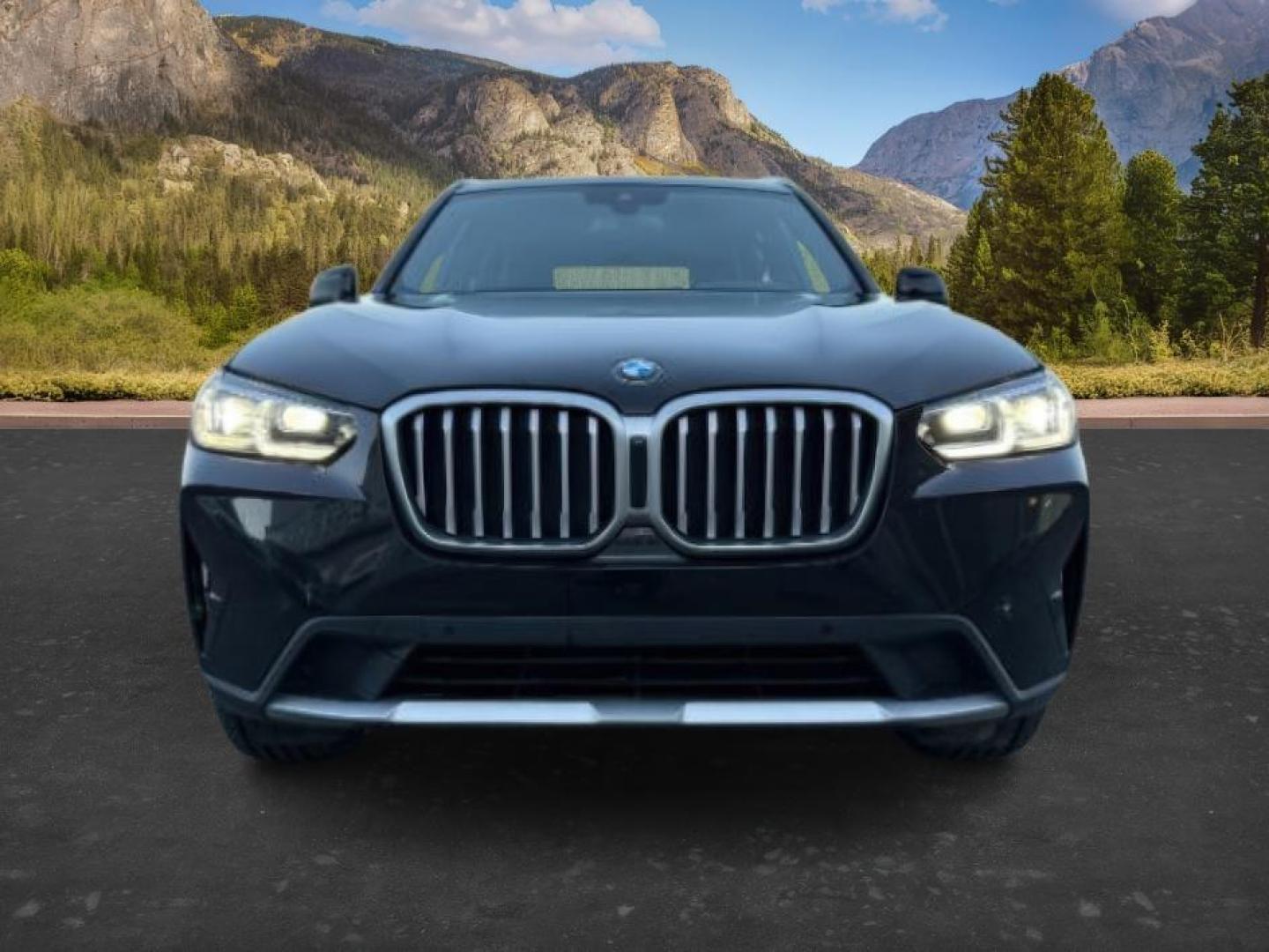2024 BLACK /Black BMW X3 (5UX53DP04R9) with an 2L I-4 gasoline direct injection engine, Automatic transmission, located at 1175 N Woodruff Ave, Idaho Falls, ID, 83401, 43.506901, -111.999657 - At Timberline Auto, finding a great deal on your next vehicle is always easy! Our experienced sales staff's goal is to help find you the right vehicle at the right price! Our knowledgeable finance department has options for almost any credit score. We offer extended service contract options to prote - Photo#11