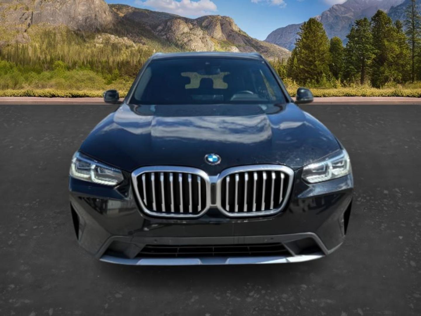 2024 BLACK /Black BMW X3 (5UX53DP08R9) with an 2L I-4 gasoline direct injection engine, Automatic transmission, located at 1175 N Woodruff Ave, Idaho Falls, ID, 83401, 43.506901, -111.999657 - At Timberline Auto, finding a great deal on your next vehicle is always easy! Our experienced sales staff's goal is to help find you the right vehicle at the right price! Our knowledgeable finance department has options for almost any credit score. We offer extended service contract options to prote - Photo#11