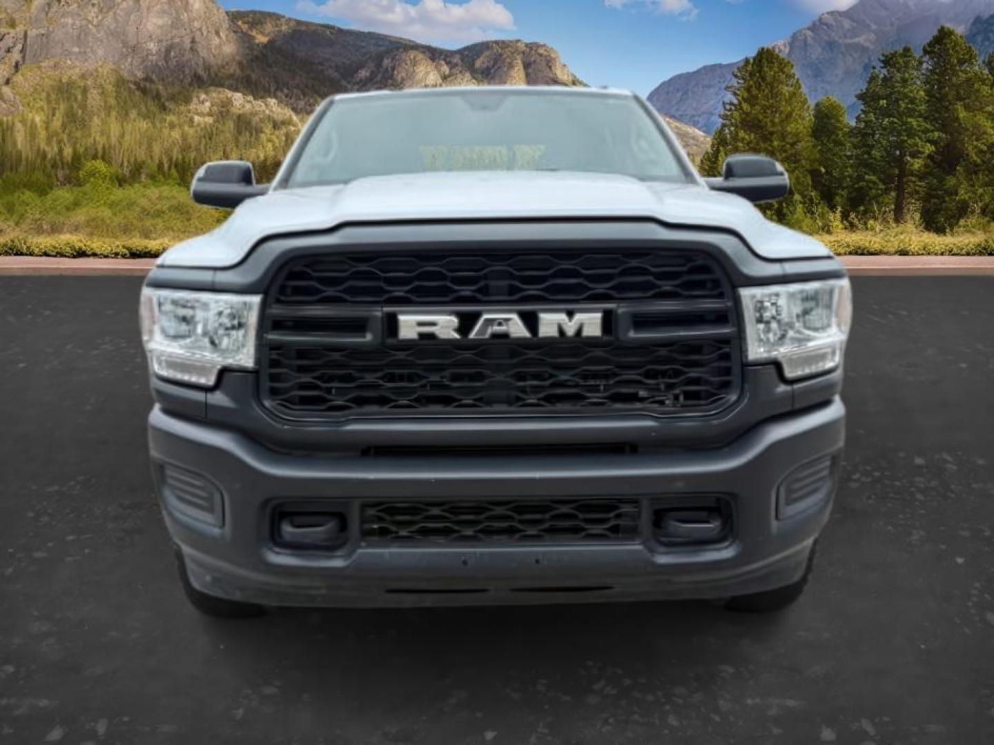 2020 WHITE /CLOTH Ram 3500 (3C63RRGL9LG) with an 67L engine, Automatic transmission, located at 1175 N Woodruff Ave, Idaho Falls, ID, 83401, 43.506901, -111.999657 - At Timberline Auto, finding a great deal on your next vehicle is always easy! Our experienced sales staff's goal is to help find you the right vehicle at the right price! Our knowledgeable finance department has options for almost any credit score. We offer extended service contract options to prote - Photo#8