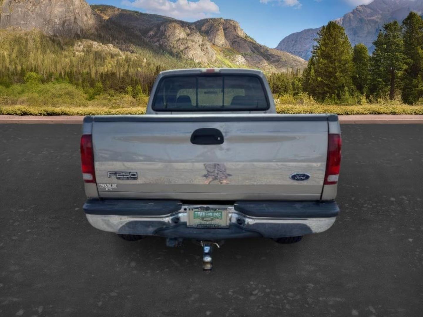 2002 BROWN /LEATHER Ford Super Duty F-250 (1FTNW21F02E) with an 73L V8 engine, Automatic transmission, located at 1175 N Woodruff Ave, Idaho Falls, ID, 83401, 43.506901, -111.999657 - This 2002 Ford F-250 Super Duty is a heavy-duty pickup built for serious work and strong diesel performance. Powered by the legendary 7.3L Power Stroke diesel, it delivers the low-end torque and hauling capability these trucks are known for. It comes lifted and sits on XD wheels, giving it an aggres- Photo#3