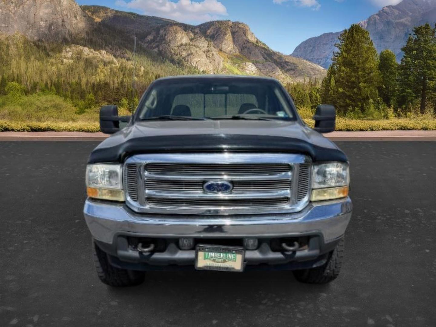 2002 BROWN /LEATHER Ford Super Duty F-250 (1FTNW21F02E) with an 73L V8 engine, Automatic transmission, located at 1175 N Woodruff Ave, Idaho Falls, ID, 83401, 43.506901, -111.999657 - This 2002 Ford F-250 Super Duty is a heavy-duty pickup built for serious work and strong diesel performance. Powered by the legendary 7.3L Power Stroke diesel, it delivers the low-end torque and hauling capability these trucks are known for. It comes lifted and sits on XD wheels, giving it an aggres- Photo#8