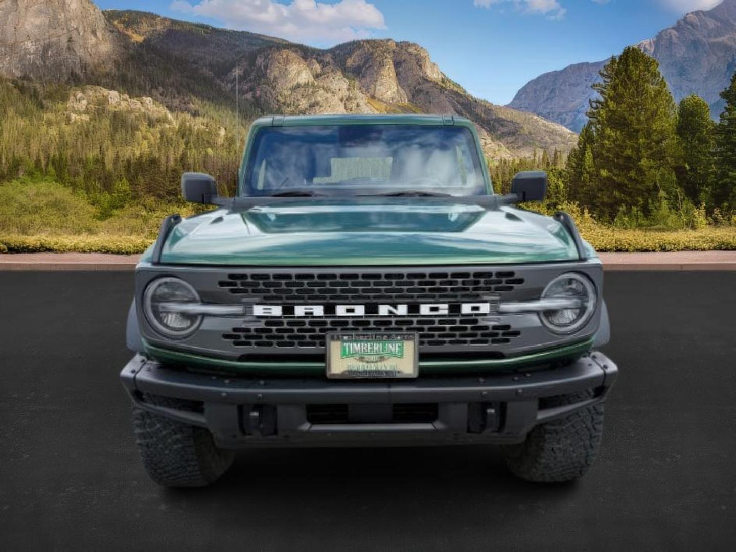 2022 GREEN /Black Onyx Ford Bronco (1FMEE5DPXNL) with an EcoBoost 27L V-6 portdirect injection engine, Automatic transmission, located at 1175 N Woodruff Ave, Idaho Falls, ID, 83401, 43.506901, -111.999657 - At Timberline Auto, finding a great deal on your next vehicle is always easy! Our experienced sales staff's goal is to help find you the right vehicle at the right price! Our knowledgeable finance department has options for almost any credit score. We offer extended service contract options to prote - Photo#9