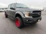 2020 GRAY /Black Ford F-150 (1FTFW1E42LK) with an EcoBoost 35L V-6 portdirect injection engine, Automatic transmission, located at 1175 N Woodruff Ave, Idaho Falls, ID, 83401, 43.506901, -111.999657 - At Timberline Auto, finding a great deal on your next vehicle is always easy! Our experienced sales staff's goal is to help find you the right vehicle at the right price! Our knowledgeable finance department has options for almost any credit score. We offer extended service contract options to prote - Photo#38