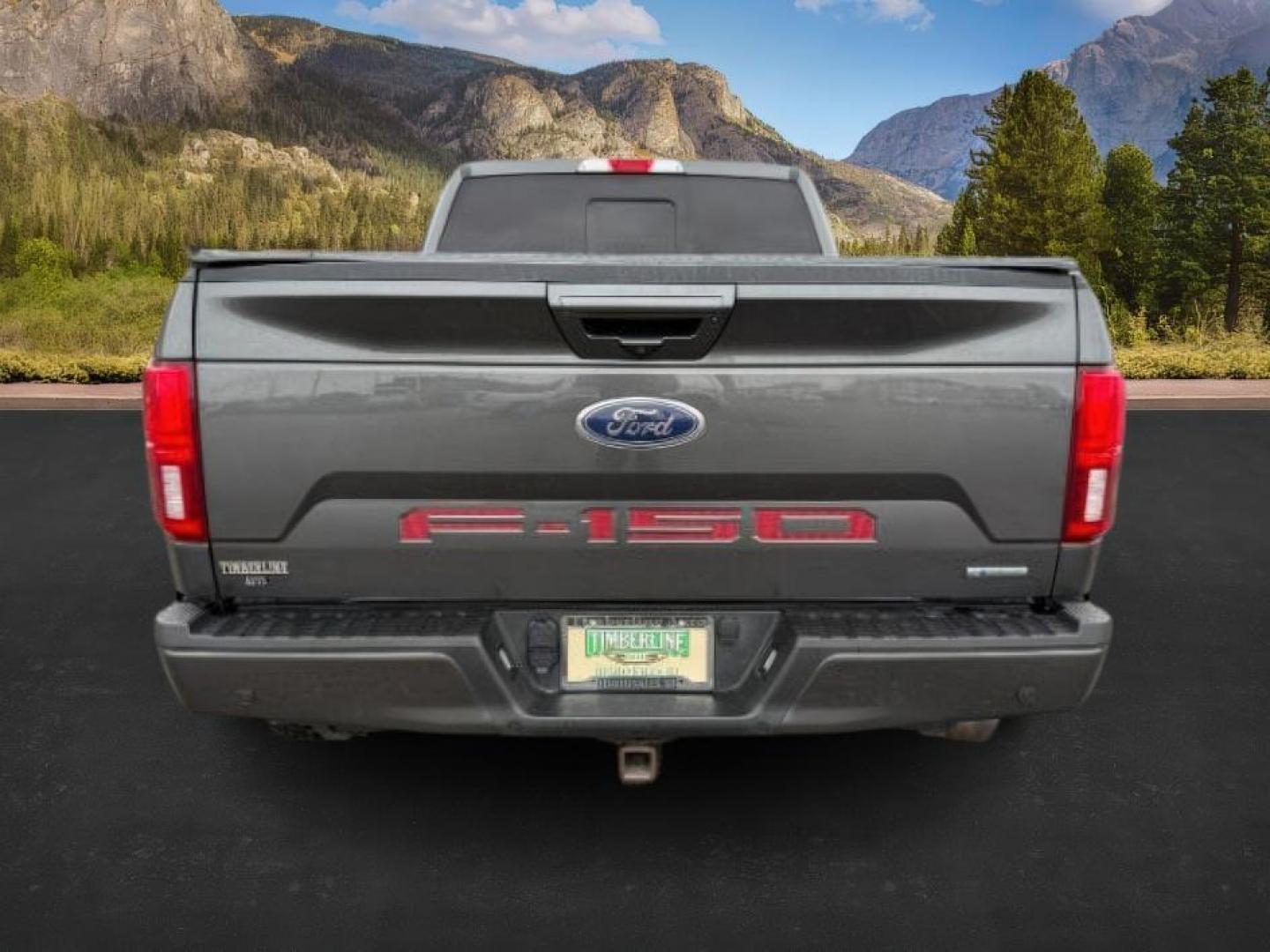 2020 GRAY /Black Ford F-150 (1FTFW1E42LK) with an EcoBoost 35L V-6 portdirect injection engine, Automatic transmission, located at 1175 N Woodruff Ave, Idaho Falls, ID, 83401, 43.506901, -111.999657 - At Timberline Auto, finding a great deal on your next vehicle is always easy! Our experienced sales staff's goal is to help find you the right vehicle at the right price! Our knowledgeable finance department has options for almost any credit score. We offer extended service contract options to prote - Photo#3