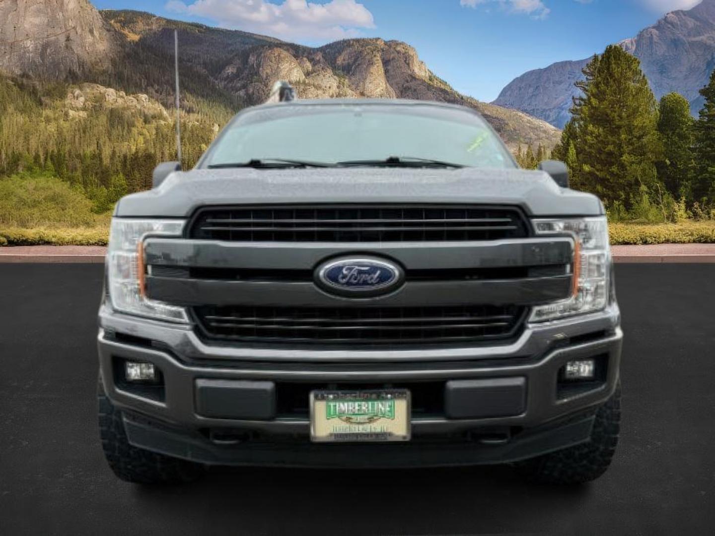 2020 GRAY /Black Ford F-150 (1FTFW1E42LK) with an EcoBoost 35L V-6 portdirect injection engine, Automatic transmission, located at 1175 N Woodruff Ave, Idaho Falls, ID, 83401, 43.506901, -111.999657 - At Timberline Auto, finding a great deal on your next vehicle is always easy! Our experienced sales staff's goal is to help find you the right vehicle at the right price! Our knowledgeable finance department has options for almost any credit score. We offer extended service contract options to prote - Photo#9