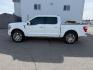2021 WHITE /Admiral Blue Ford F-150 (1FTFW1E86MF) with an EcoBoost 35L V-6 portdirect injection engine, Automatic transmission, located at 1175 N Woodruff Ave, Idaho Falls, ID, 83401, 43.506901, -111.999657 - At Timberline Auto, finding a great deal on your next vehicle is always easy! Our experienced sales staff's goal is to help find you the right vehicle at the right price! Our knowledgeable finance department has options for almost any credit score. We offer extended service contract options to prote - Photo#26