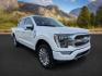2021 WHITE /Admiral Blue Ford F-150 (1FTFW1E86MF) with an EcoBoost 35L V-6 portdirect injection engine, Automatic transmission, located at 1175 N Woodruff Ave, Idaho Falls, ID, 83401, 43.506901, -111.999657 - At Timberline Auto, finding a great deal on your next vehicle is always easy! Our experienced sales staff's goal is to help find you the right vehicle at the right price! Our knowledgeable finance department has options for almost any credit score. We offer extended service contract options to prote - Photo#0