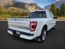 2021 WHITE /Admiral Blue Ford F-150 (1FTFW1E86MF) with an EcoBoost 35L V-6 portdirect injection engine, Automatic transmission, located at 1175 N Woodruff Ave, Idaho Falls, ID, 83401, 43.506901, -111.999657 - At Timberline Auto, finding a great deal on your next vehicle is always easy! Our experienced sales staff's goal is to help find you the right vehicle at the right price! Our knowledgeable finance department has options for almost any credit score. We offer extended service contract options to prote - Photo#5