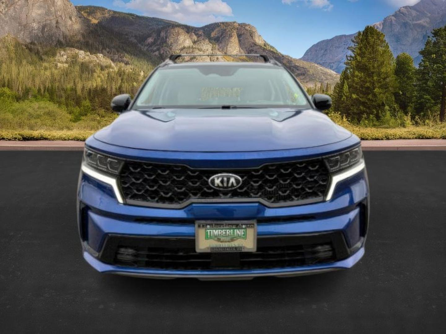 2021 BLUE /Black KIA Sorento (5XYRKDLF5MG) with an 25L I-4 portdirect injection engine, Automatic transmission, located at 1175 N Woodruff Ave, Idaho Falls, ID, 83401, 43.506901, -111.999657 - At Timberline Auto, finding a great deal on your next vehicle is always easy! Our experienced sales staff's goal is to help find you the right vehicle at the right price! Our knowledgeable finance department has options for almost any credit score. We offer extended service contract options to prote - Photo#10