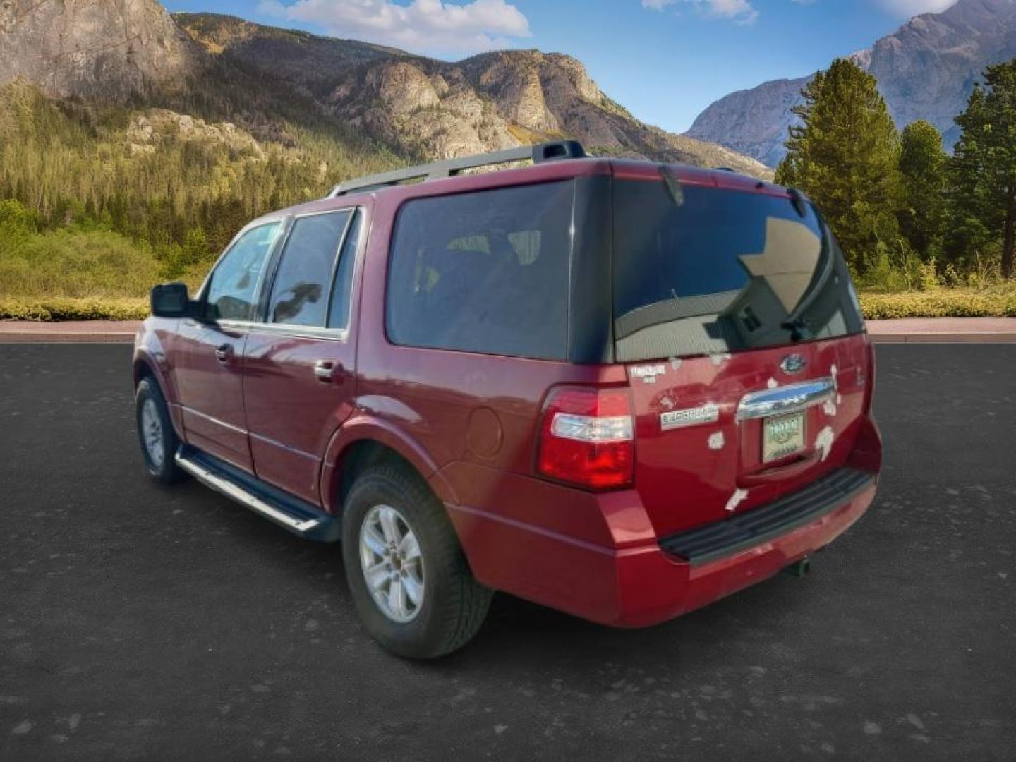 2009 RED /Charcoal Black Cloth Interior Ford Expedition (1FMFU16509L) with an 54L V8 SOHC 16V engine, Automatic transmission, located at 1175 N Woodruff Ave, Idaho Falls, ID, 83401, 43.506901, -111.999657 - At Timberline Auto, finding a great deal on your next vehicle is always easy! Our experienced sales staff's goal is to help find you the right vehicle at the right price! Our knowledgeable finance department has options for almost any credit score. We offer extended service contract options to prote - Photo#2