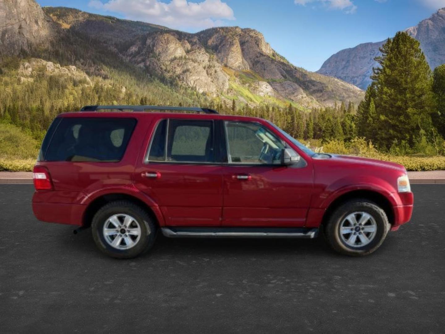 2009 RED /Charcoal Black Cloth Interior Ford Expedition (1FMFU16509L) with an 54L V8 SOHC 16V engine, Automatic transmission, located at 1175 N Woodruff Ave, Idaho Falls, ID, 83401, 43.506901, -111.999657 - At Timberline Auto, finding a great deal on your next vehicle is always easy! Our experienced sales staff's goal is to help find you the right vehicle at the right price! Our knowledgeable finance department has options for almost any credit score. We offer extended service contract options to prote - Photo#6