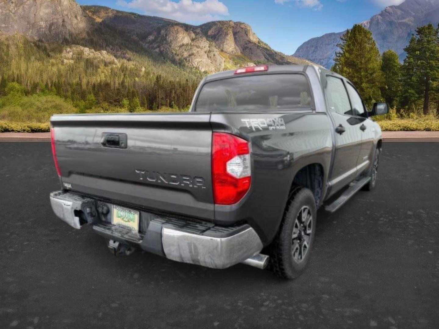 2016 Magnetic Gray Metallic /Black Toyota Tundra (5TFDY5F12GX) with an I-FORCE 57L V-8 DOHC engine, Automatic transmission, located at 1175 N Woodruff Ave, Idaho Falls, ID, 83401, 43.506901, -111.999657 - At Timberline Auto, finding a great deal on your next vehicle is always easy! Our experienced sales staff's goal is to help find you the right vehicle at the right price! Our knowledgeable finance department has options for almost any credit score. We offer extended service contract options to prote - Photo#5