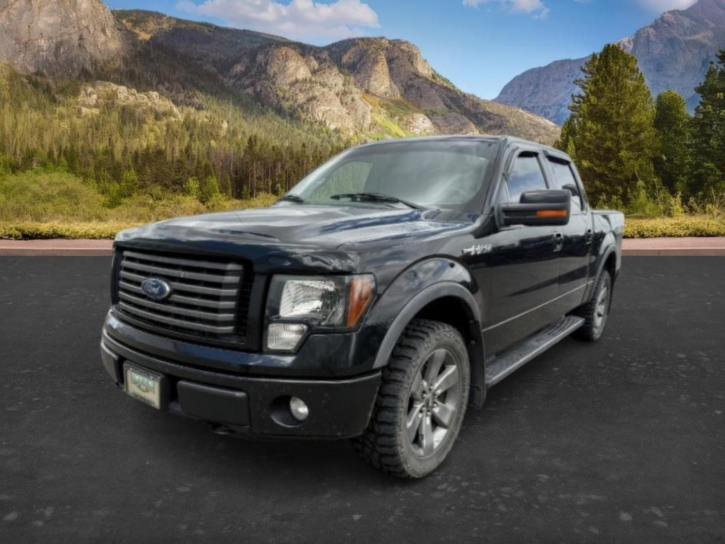 2012 BLACK /Steel Grey Ford F-150 XLT (1FTFW1EF5CK) with an 5L V-8 DOHC engine, AUTOMATIC transmission, located at 1235 N Woodruff Ave., Idaho Falls, 83401, (208) 523-1053, 43.507172, -112.000488 - At Timberline Auto, finding a great deal on your next vehicle is always easy! Our experienced sales staff's goal is to help find you the right vehicle at the right price! Our knowledgeable finance department has options for almost any credit score. We offer extended service contract options to prote - Photo#0