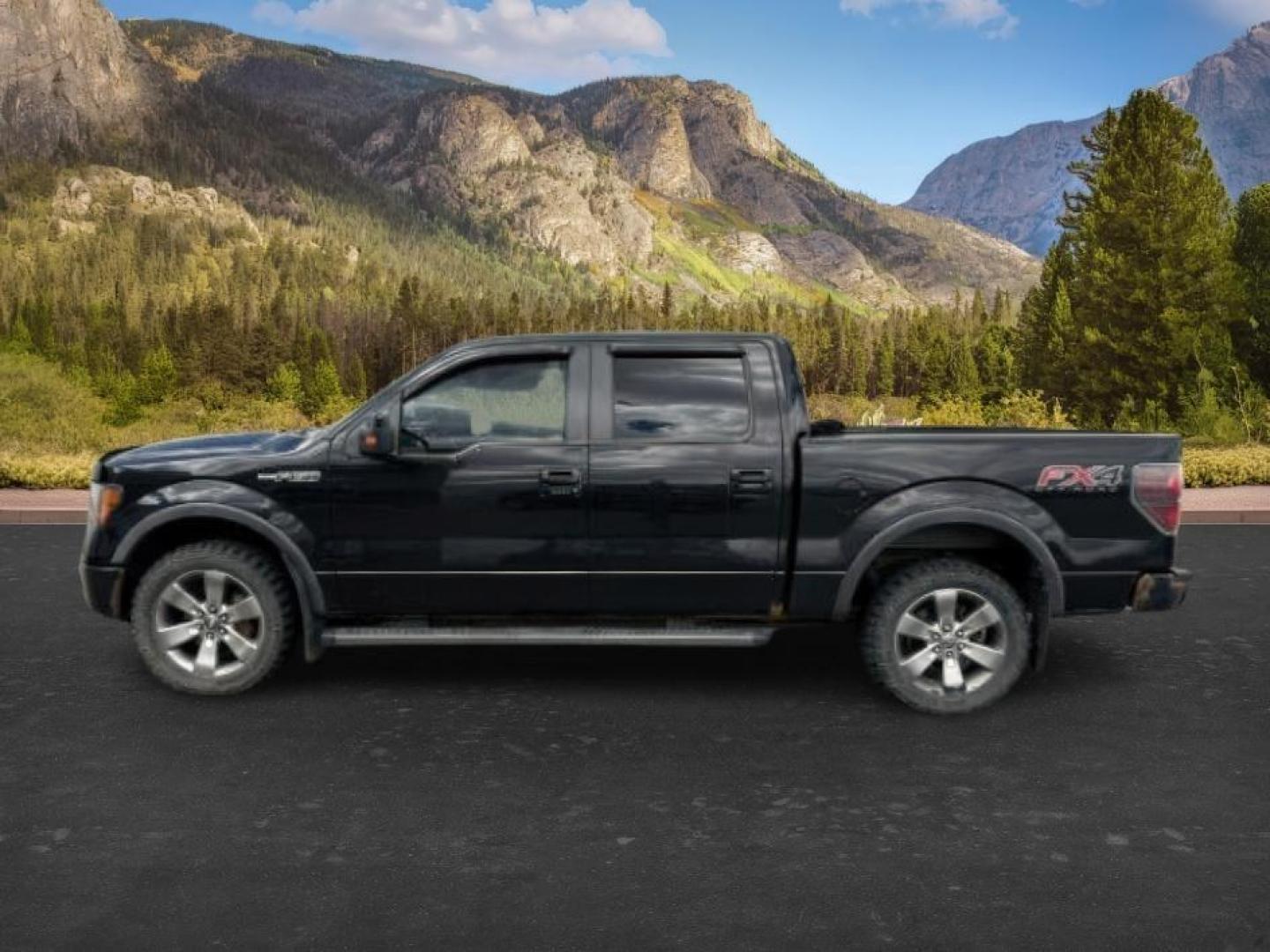 2012 BLACK /Steel Grey Ford F-150 XLT (1FTFW1EF5CK) with an 5L V-8 DOHC engine, AUTOMATIC transmission, located at 1235 N Woodruff Ave., Idaho Falls, 83401, (208) 523-1053, 43.507172, -112.000488 - At Timberline Auto, finding a great deal on your next vehicle is always easy! Our experienced sales staff's goal is to help find you the right vehicle at the right price! Our knowledgeable finance department has options for almost any credit score. We offer extended service contract options to prote - Photo#1