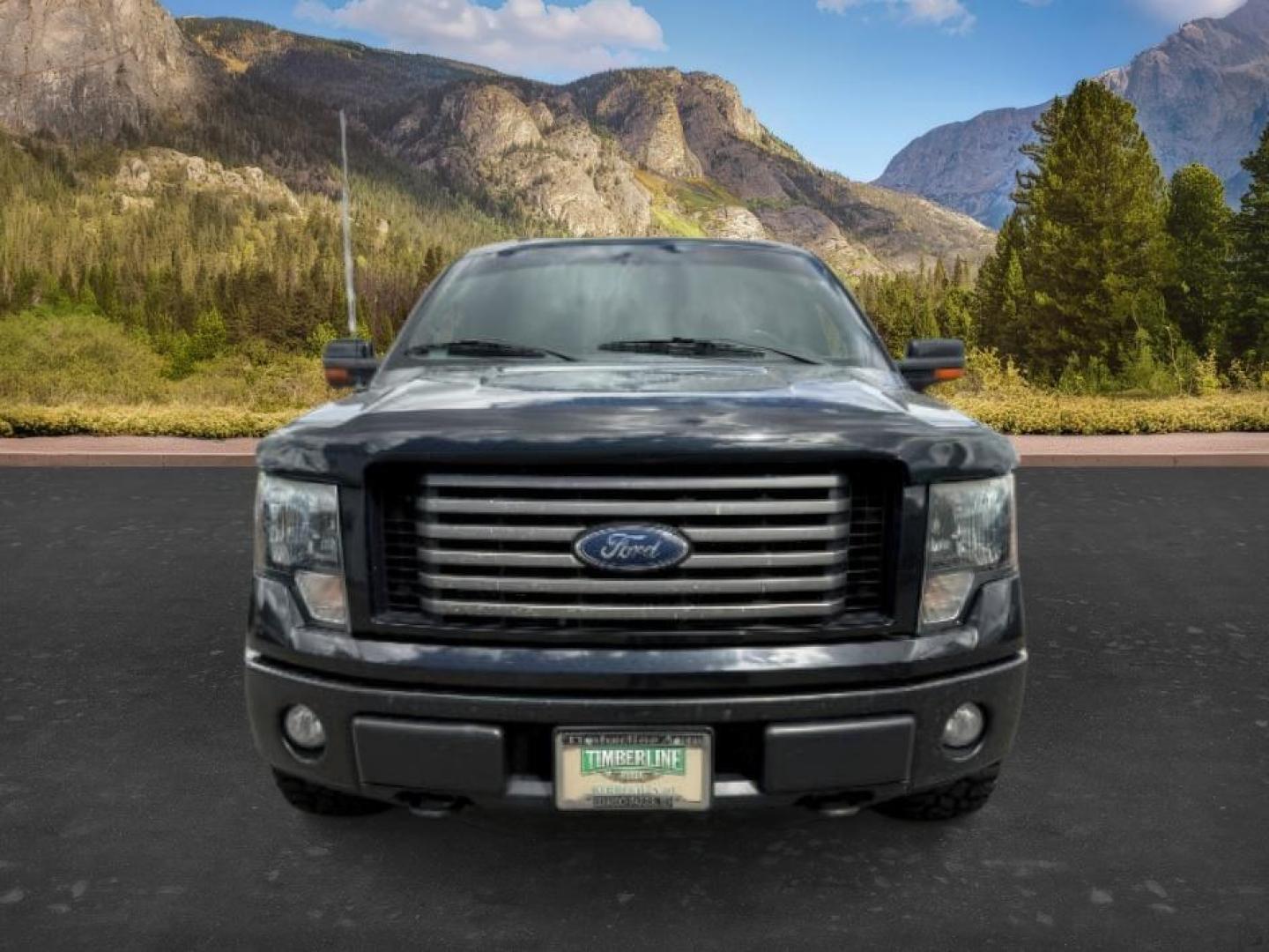 2012 BLACK /Steel Grey Ford F-150 XLT (1FTFW1EF5CK) with an 5L V-8 DOHC engine, AUTOMATIC transmission, located at 1235 N Woodruff Ave., Idaho Falls, 83401, (208) 523-1053, 43.507172, -112.000488 - At Timberline Auto, finding a great deal on your next vehicle is always easy! Our experienced sales staff's goal is to help find you the right vehicle at the right price! Our knowledgeable finance department has options for almost any credit score. We offer extended service contract options to prote - Photo#9