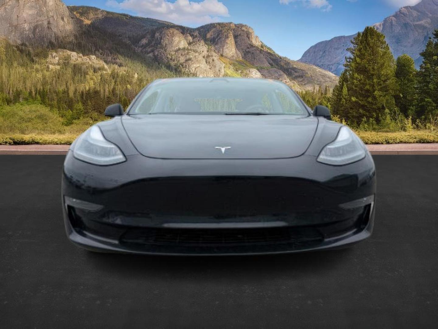 2022 BLACK /LEATHER Tesla Model 3 (5YJ3E1EBXNF) with an ELECTRIC engine, Automatic transmission, located at 1175 N Woodruff Ave, Idaho Falls, ID, 83401, 43.506901, -111.999657 - At Timberline Auto, finding a great deal on your next vehicle is always easy! Our experienced sales staff's goal is to help find you the right vehicle at the right price! Our knowledgeable finance department has options for almost any credit score. We offer extended service contract options to prote - Photo#7