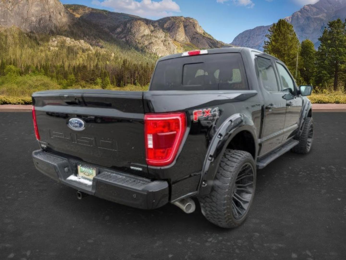 2022 Agate Black Metallic /Black w/Medium Dark Slate Ford F-150 (1FTFW1E86NK) with an EcoBoost 35L V-6 portdirect injection engine, Automatic transmission, located at 1175 N Woodruff Ave, Idaho Falls, ID, 83401, 43.506901, -111.999657 - At Timberline Auto, finding a great deal on your next vehicle is always easy! Our experienced sales staff's goal is to help find you the right vehicle at the right price! Our knowledgeable finance department has options for almost any credit score. We offer extended service contract options to prote - Photo#6