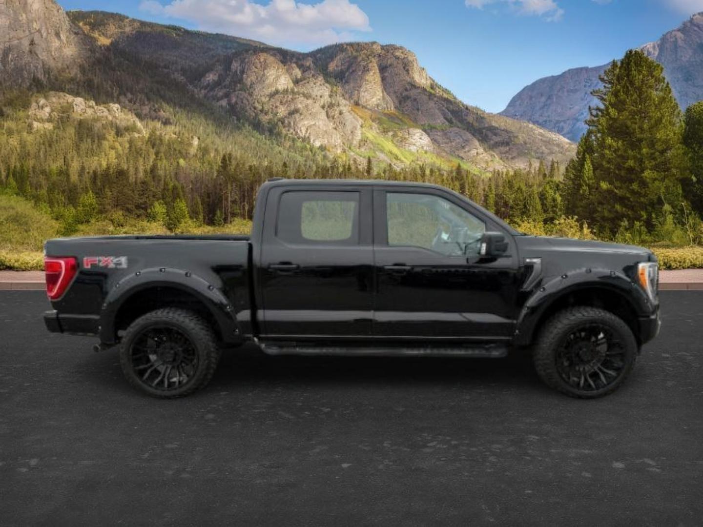 2022 Agate Black Metallic /Black w/Medium Dark Slate Ford F-150 (1FTFW1E86NK) with an EcoBoost 35L V-6 portdirect injection engine, Automatic transmission, located at 1175 N Woodruff Ave, Idaho Falls, ID, 83401, 43.506901, -111.999657 - At Timberline Auto, finding a great deal on your next vehicle is always easy! Our experienced sales staff's goal is to help find you the right vehicle at the right price! Our knowledgeable finance department has options for almost any credit score. We offer extended service contract options to prote - Photo#7