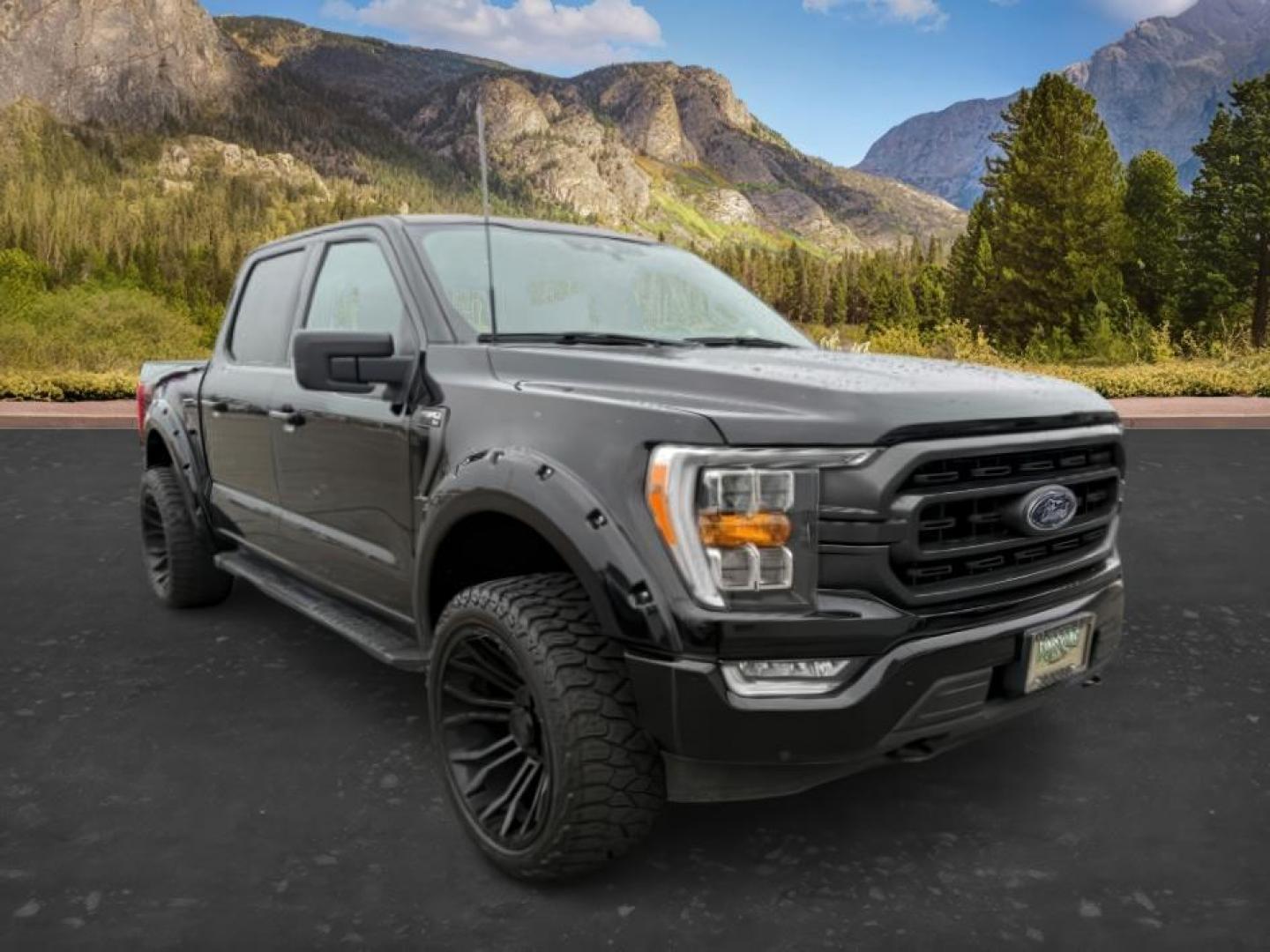 2022 Agate Black Metallic /Black w/Medium Dark Slate Ford F-150 (1FTFW1E86NK) with an EcoBoost 35L V-6 portdirect injection engine, Automatic transmission, located at 1175 N Woodruff Ave, Idaho Falls, ID, 83401, 43.506901, -111.999657 - At Timberline Auto, finding a great deal on your next vehicle is always easy! Our experienced sales staff's goal is to help find you the right vehicle at the right price! Our knowledgeable finance department has options for almost any credit score. We offer extended service contract options to prote - Photo#8