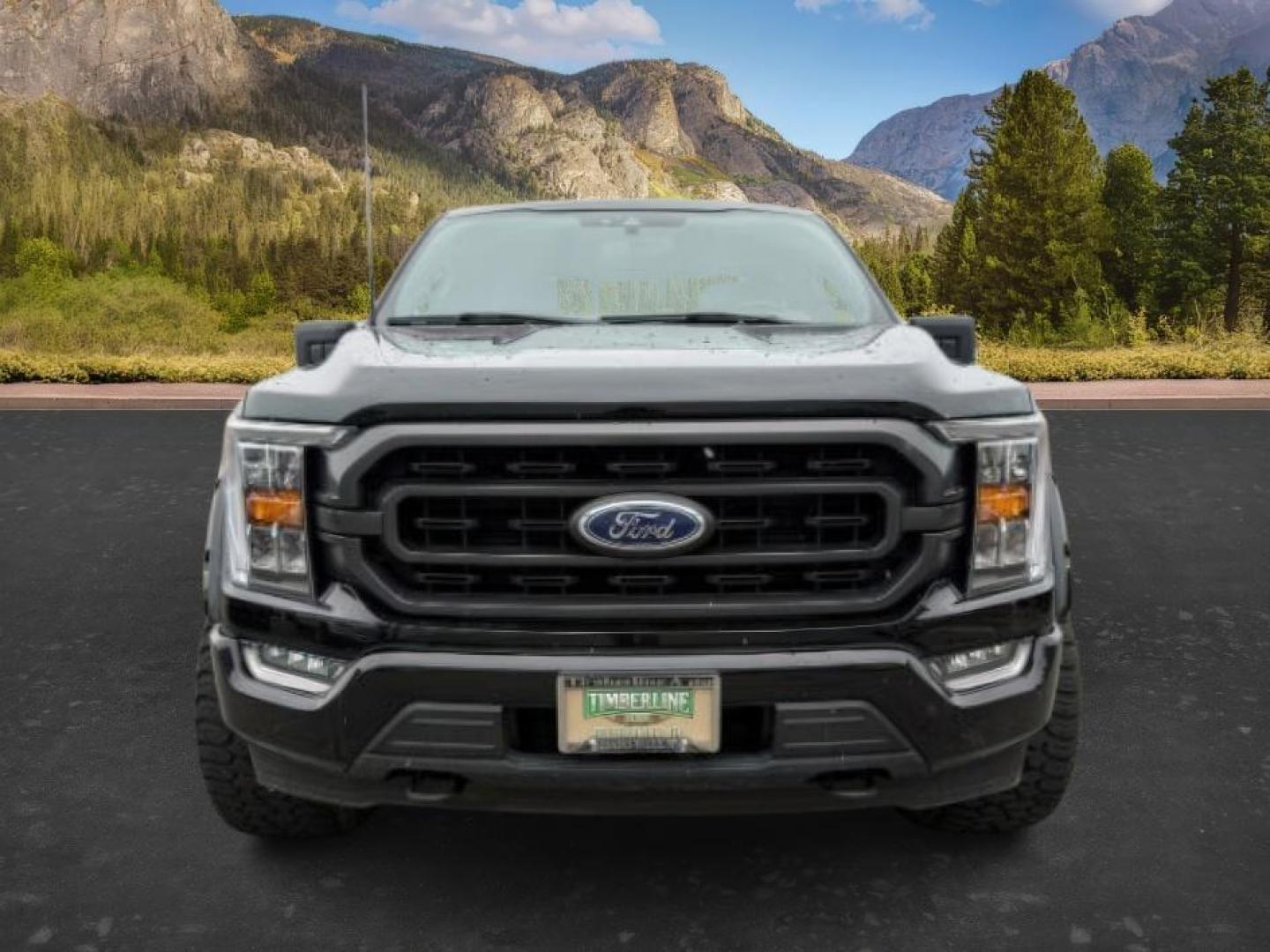 2022 Agate Black Metallic /Black w/Medium Dark Slate Ford F-150 (1FTFW1E86NK) with an EcoBoost 35L V-6 portdirect injection engine, Automatic transmission, located at 1175 N Woodruff Ave, Idaho Falls, ID, 83401, 43.506901, -111.999657 - At Timberline Auto, finding a great deal on your next vehicle is always easy! Our experienced sales staff's goal is to help find you the right vehicle at the right price! Our knowledgeable finance department has options for almost any credit score. We offer extended service contract options to prote - Photo#9