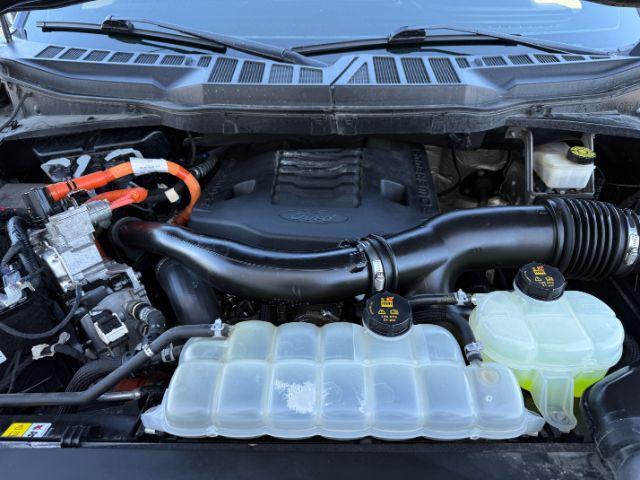 2021 BLUE /Black Ford F-150 Platinum (1FTFW1ED2MF) with an 3.5L V6 POWER BOOST HYBRID engine, AUTOMATIC transmission, located at 1235 N Woodruff Ave., Idaho Falls, 83401, (208) 523-1053, 43.507172, -112.000488 - At Timberline Auto, finding a great deal on your next vehicle is always easy! Our experienced sales staff's goal is to help find you the right vehicle at the right price! Our knowledgeable finance department has options for almost any credit score. We offer extended service contract options to prote- Photo#51