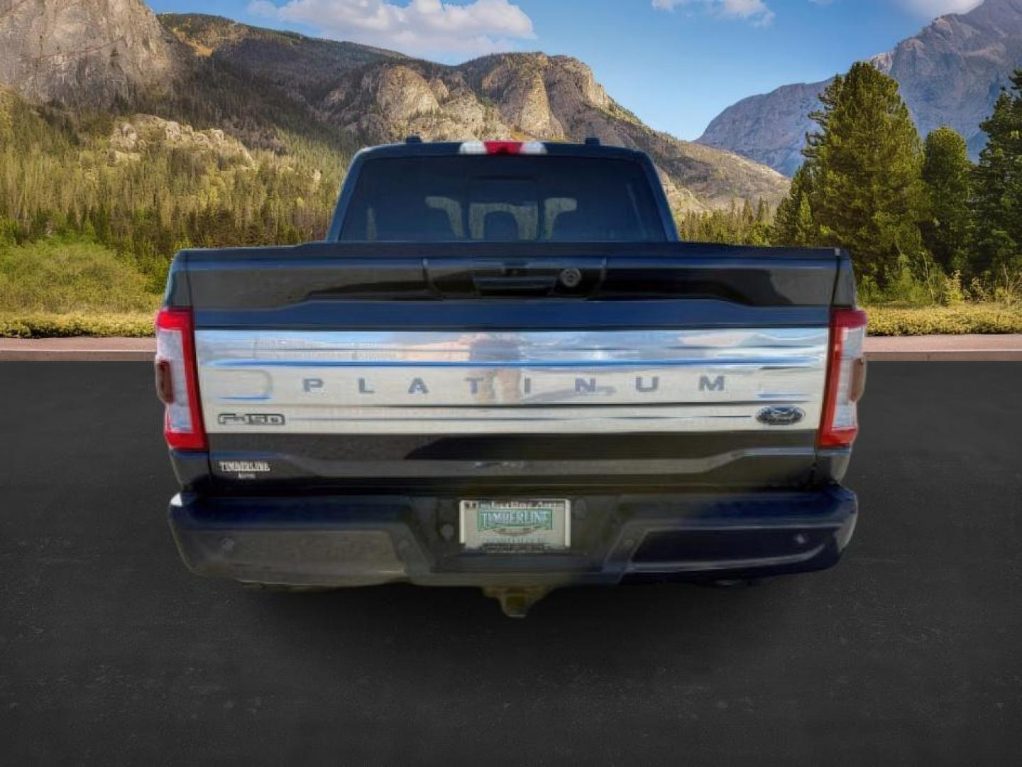 2021 BLUE /Black Ford F-150 (1FTFW1ED2MF) with an 35L V6 POWER BOOST HYBRID engine, Automatic transmission, located at 1175 N Woodruff Ave, Idaho Falls, ID, 83401, 43.506901, -111.999657 - At Timberline Auto, finding a great deal on your next vehicle is always easy! Our experienced sales staff's goal is to help find you the right vehicle at the right price! Our knowledgeable finance department has options for almost any credit score. We offer extended service contract options to prote - Photo#3