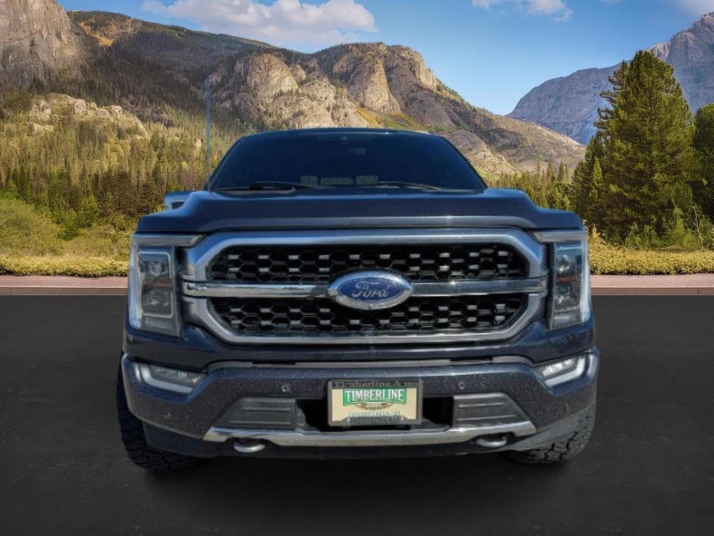 2021 BLUE /Black Ford F-150 (1FTFW1ED2MF) with an 35L V6 POWER BOOST HYBRID engine, Automatic transmission, located at 1175 N Woodruff Ave, Idaho Falls, ID, 83401, 43.506901, -111.999657 - At Timberline Auto, finding a great deal on your next vehicle is always easy! Our experienced sales staff's goal is to help find you the right vehicle at the right price! Our knowledgeable finance department has options for almost any credit score. We offer extended service contract options to prote - Photo#8
