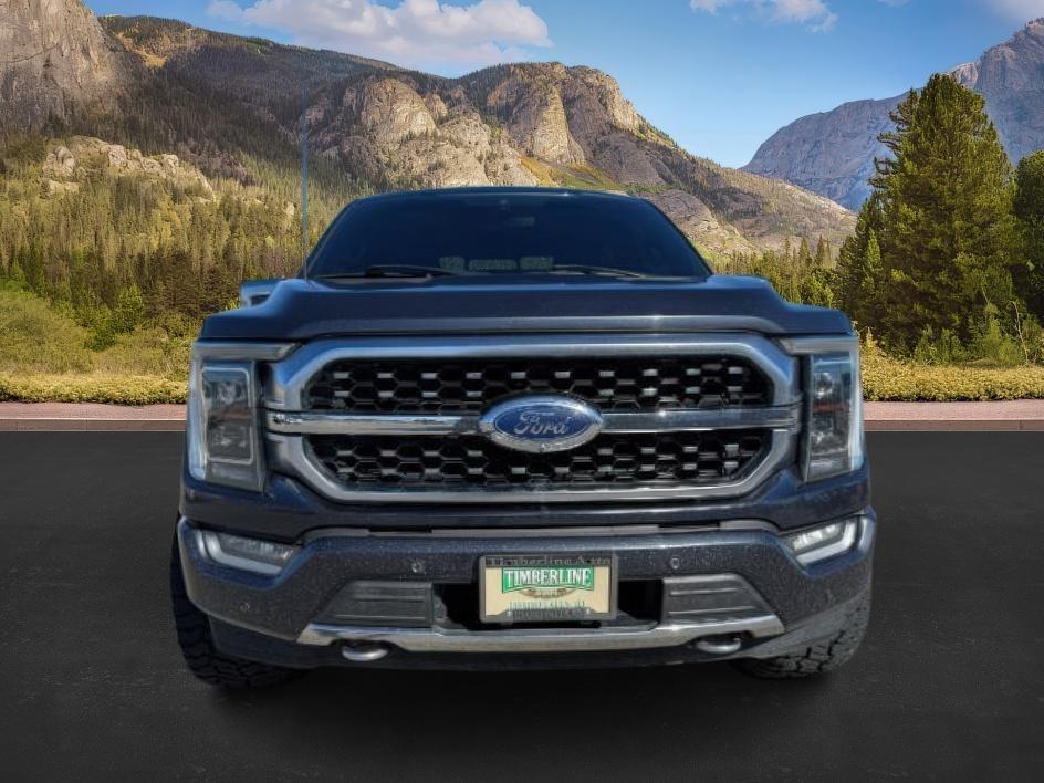 2021 BLUE /Black Ford F-150 Platinum (1FTFW1ED2MF) with an 3.5L V6 POWER BOOST HYBRID engine, AUTOMATIC transmission, located at 1235 N Woodruff Ave., Idaho Falls, 83401, (208) 523-1053, 43.507172, -112.000488 - At Timberline Auto, finding a great deal on your next vehicle is always easy! Our experienced sales staff's goal is to help find you the right vehicle at the right price! Our knowledgeable finance department has options for almost any credit score. We offer extended service contract options to prote- Photo#8