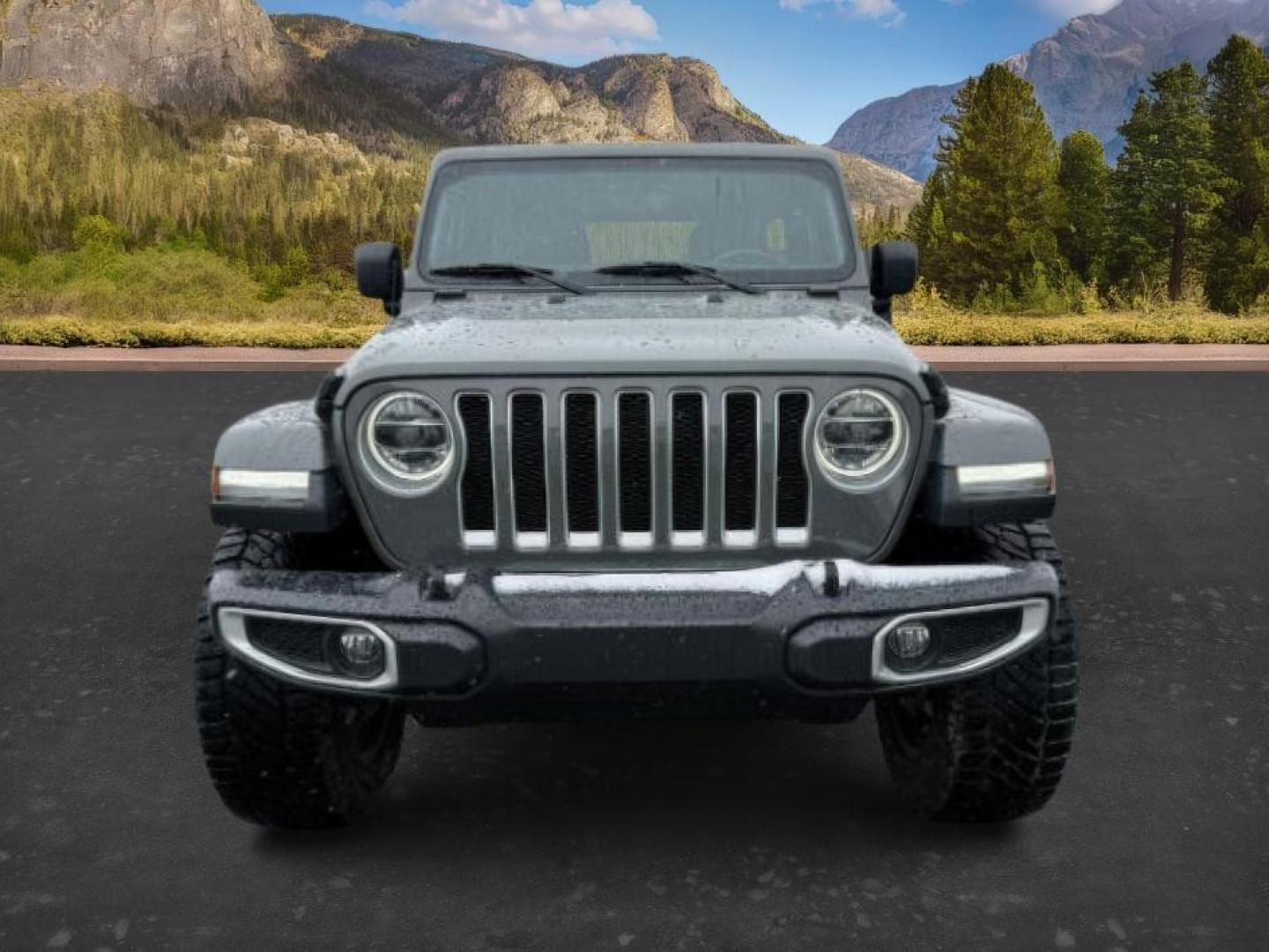 2019 GRAY /Black Jeep Wrangler Unlimited (1C4HJXEG4KW) with an Pentastar 36L V-6 DOHC engine, Automatic transmission, located at 1175 N Woodruff Ave, Idaho Falls, ID, 83401, 43.506901, -111.999657 - At Timberline Auto, finding a great deal on your next vehicle is always easy! Our experienced sales staff's goal is to help find you the right vehicle at the right price! Our knowledgeable finance department has options for almost any credit score. We offer extended service contract options to prote - Photo#9