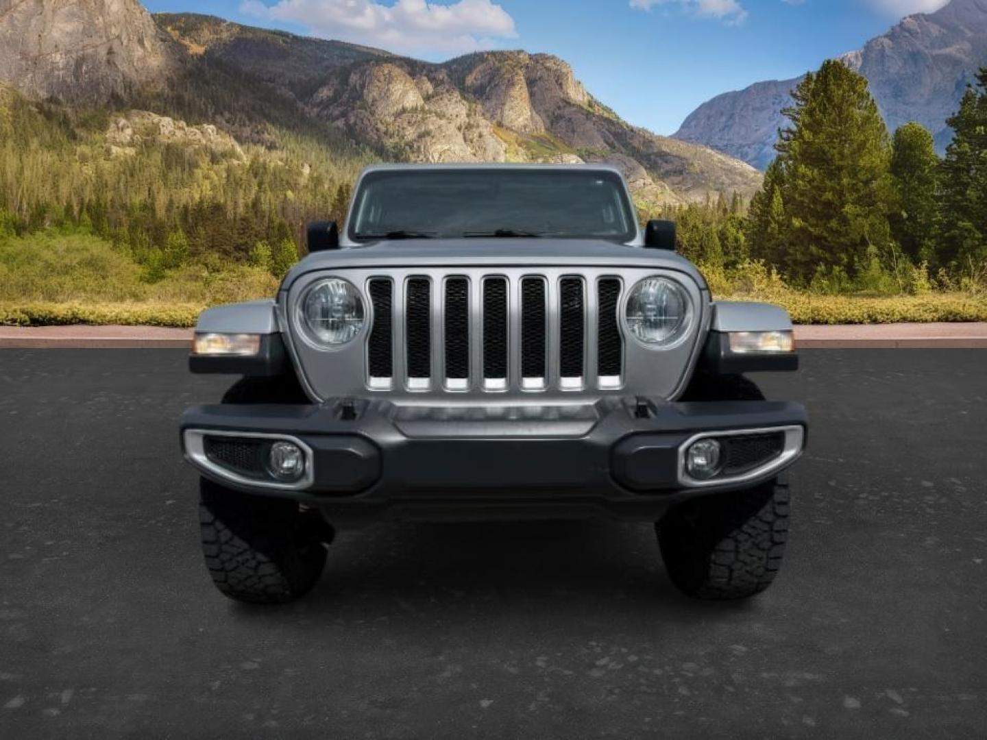 2018 SILVER /Black/Black Jeep Wrangler Unlimited Sahara (1C4HJXEN7JW) with an 2L I-4 gasoline direct injection engine, AUTOMATIC transmission, located at 1235 N Woodruff Ave., Idaho Falls, 83401, (208) 523-1053, 43.507172, -112.000488 - At Timberline Auto, finding a great deal on your next vehicle is always easy! Our experienced sales staff's goal is to help find you the right vehicle at the right price! Our knowledgeable finance department has options for almost any credit score. We offer extended service contract options to prote - Photo#10