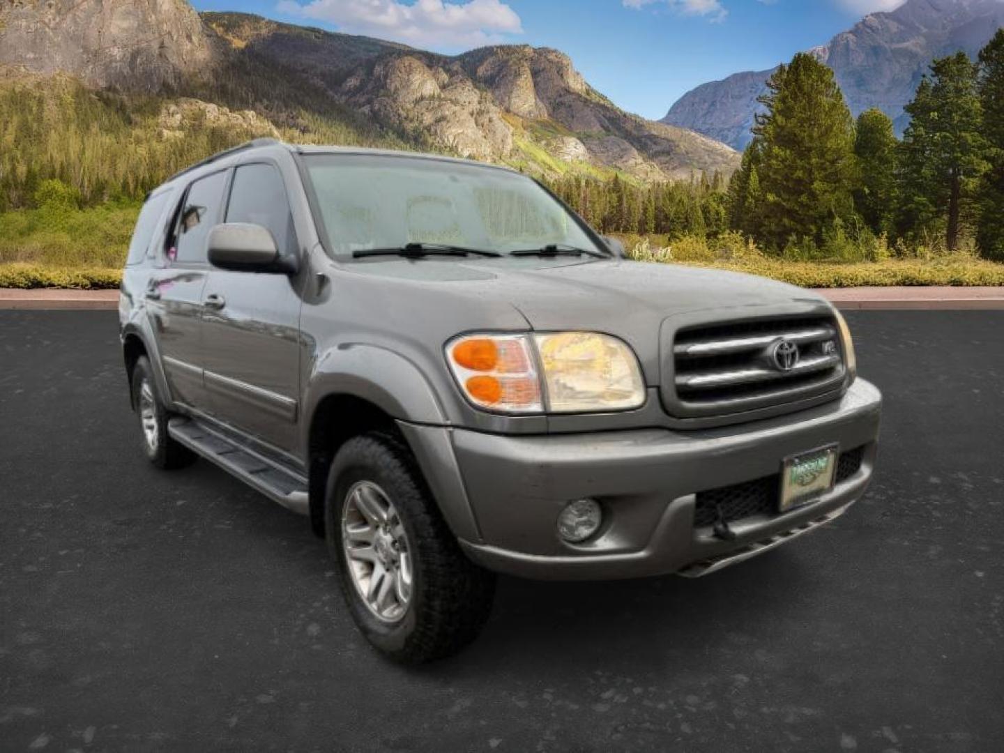 2004 GRAY /Charcoal Toyota Sequoia (5TDBT48A74S) with an 47L V-8 DOHC engine, Automatic transmission, located at 1175 N Woodruff Ave, Idaho Falls, ID, 83401, 43.506901, -111.999657 - At Timberline Auto, finding a great deal on your next vehicle is always easy! Our experienced sales staff's goal is to help find you the right vehicle at the right price! Our knowledgeable finance department has options for almost any credit score. We offer extended service contract options to prote - Photo#8