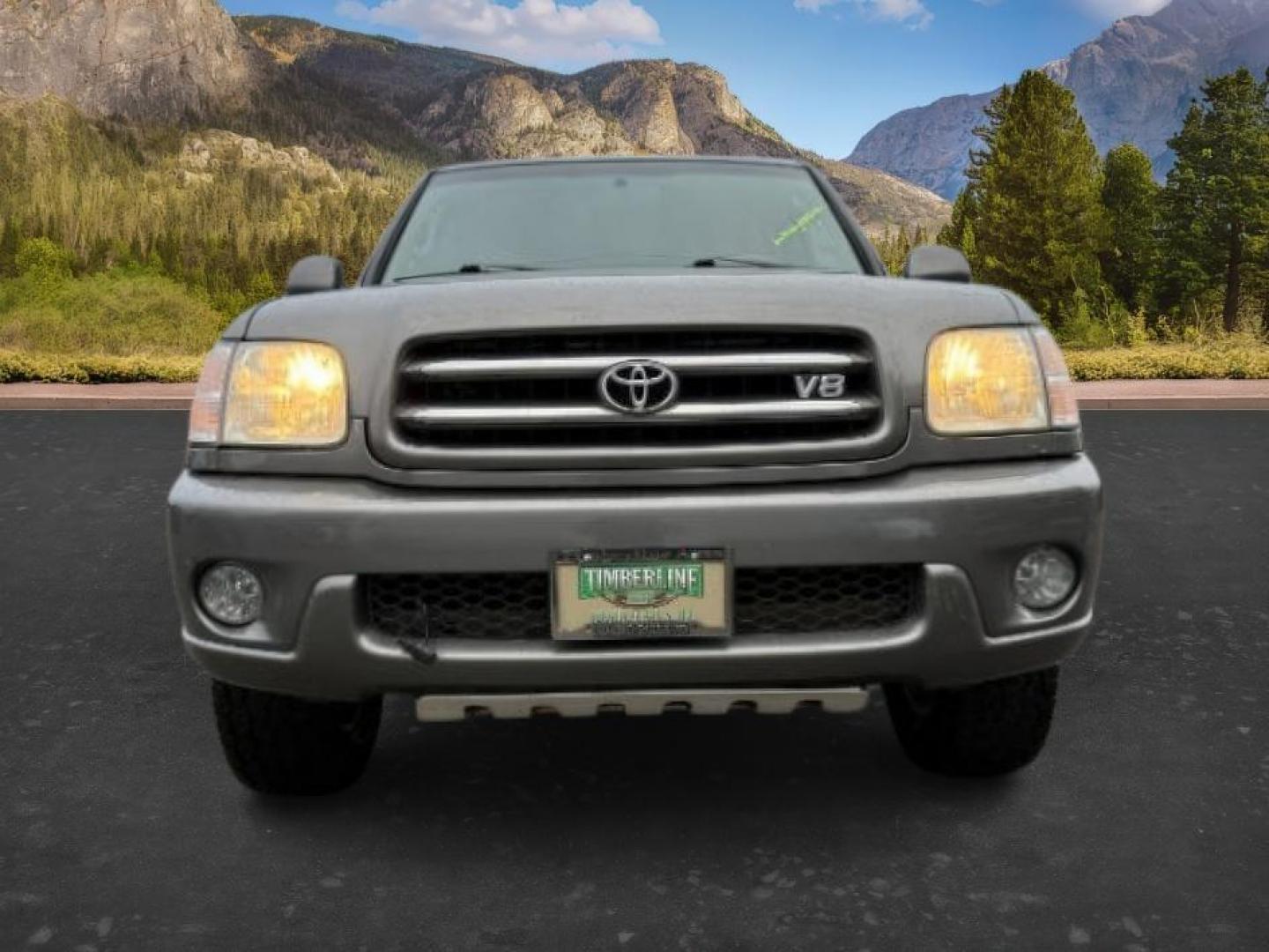 2004 GRAY /Charcoal Toyota Sequoia (5TDBT48A74S) with an 47L V-8 DOHC engine, Automatic transmission, located at 1175 N Woodruff Ave, Idaho Falls, ID, 83401, 43.506901, -111.999657 - At Timberline Auto, finding a great deal on your next vehicle is always easy! Our experienced sales staff's goal is to help find you the right vehicle at the right price! Our knowledgeable finance department has options for almost any credit score. We offer extended service contract options to prote - Photo#9