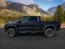 2020 Onyx Black /Jet Black GMC Sierra 1500 (1GTU9DEL6LZ) with an EcoTec3 62L V-8 gasoline direct injection engine, Automatic transmission, located at 1175 N Woodruff Ave, Idaho Falls, ID, 83401, 43.506901, -111.999657 - At Timberline Auto, finding a great deal on your next vehicle is always easy! Our experienced sales staff's goal is to help find you the right vehicle at the right price! Our knowledgeable finance department has options for almost any credit score. We offer extended service contract options to prote - Photo#1