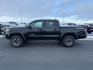 2021 Midnight Black Metallic /Black/Gun Metal Toyota Tacoma 4WD (3TMCZ5AN1MM) with an 35L V-6 portdirect injection engine, Automatic transmission, located at 1175 N Woodruff Ave, Idaho Falls, ID, 83401, 43.506901, -111.999657 - At Timberline Auto, finding a great deal on your next vehicle is always easy! Our experienced sales staff's goal is to help find you the right vehicle at the right price! Our knowledgeable finance department has options for almost any credit score. We offer extended service contract options to prote - Photo#1