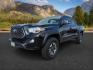 2021 Midnight Black Metallic /Black/Gun Metal Toyota Tacoma 4WD (3TMCZ5AN1MM) with an 35L V-6 portdirect injection engine, Automatic transmission, located at 1175 N Woodruff Ave, Idaho Falls, ID, 83401, 43.506901, -111.999657 - At Timberline Auto, finding a great deal on your next vehicle is always easy! Our experienced sales staff's goal is to help find you the right vehicle at the right price! Our knowledgeable finance department has options for almost any credit score. We offer extended service contract options to prote - Photo#0