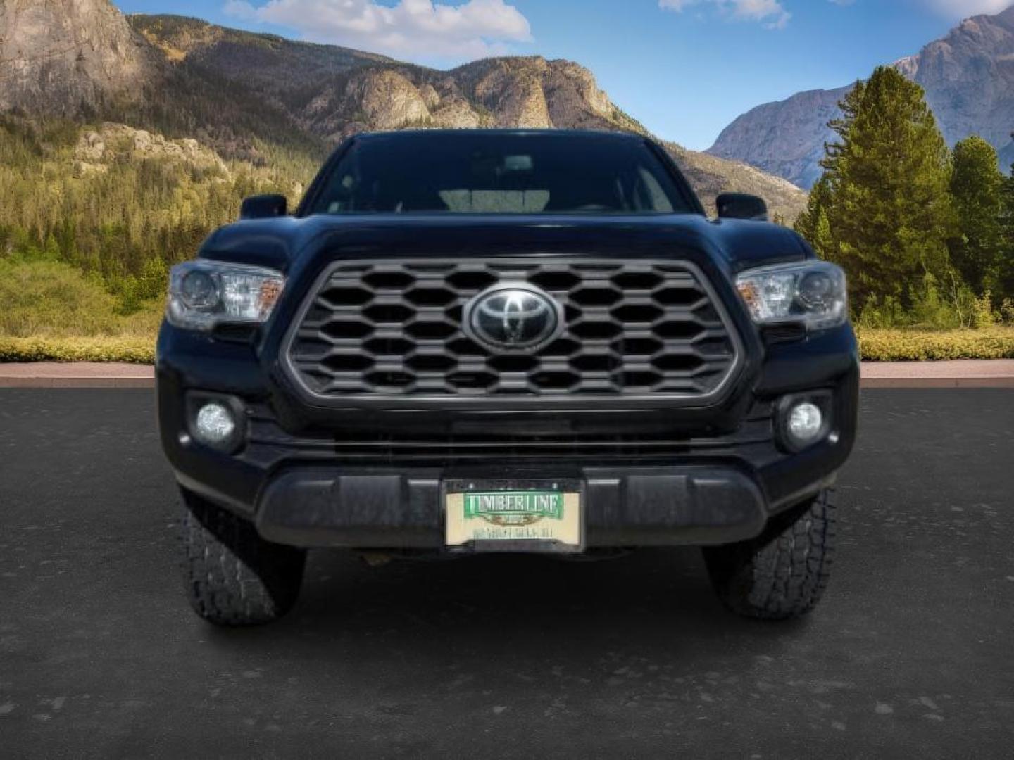 2021 Midnight Black Metallic /Black/Gun Metal Toyota Tacoma 4WD (3TMCZ5AN1MM) with an 35L V-6 portdirect injection engine, Automatic transmission, located at 1175 N Woodruff Ave, Idaho Falls, ID, 83401, 43.506901, -111.999657 - At Timberline Auto, finding a great deal on your next vehicle is always easy! Our experienced sales staff's goal is to help find you the right vehicle at the right price! Our knowledgeable finance department has options for almost any credit score. We offer extended service contract options to prote - Photo#9