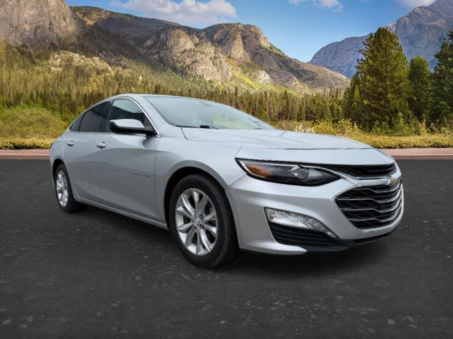 2019 SILVER /Jet Black Chevrolet Malibu LT (1G1ZD5ST3KF) with an ECOTEC 1.5L I-4 gasoline direct injection engine, AUTOMATIC transmission, located at 1235 N Woodruff Ave., Idaho Falls, 83401, (208) 523-1053, 43.507172, -112.000488 - Photo#7