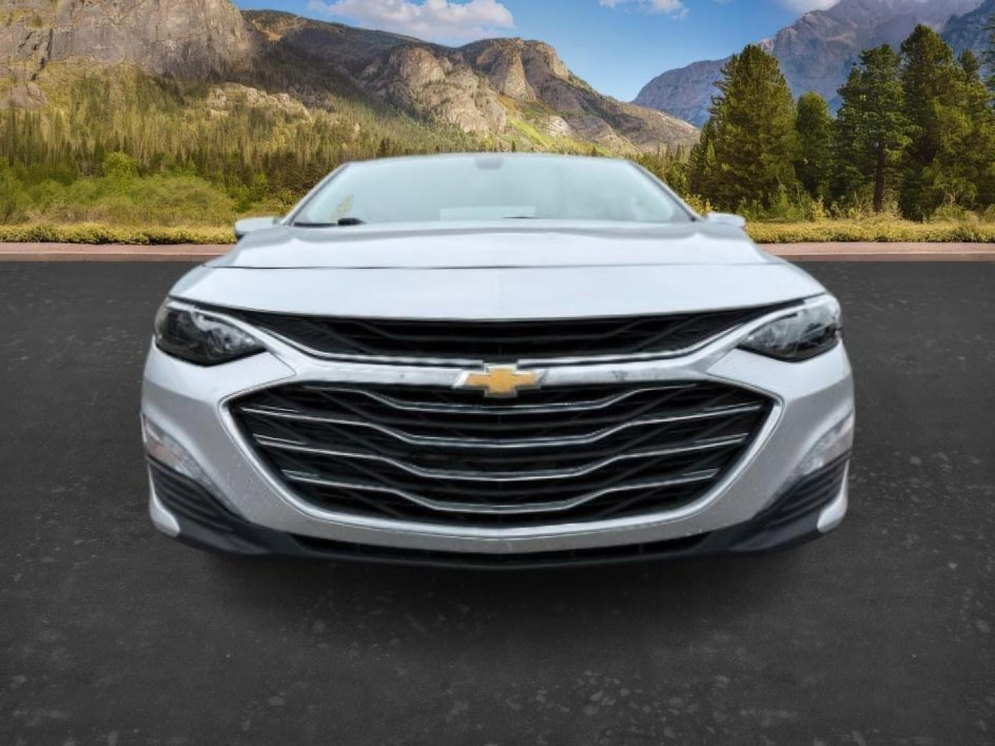 2019 SILVER /Jet Black Chevrolet Malibu LT (1G1ZD5ST3KF) with an ECOTEC 1.5L I-4 gasoline direct injection engine, AUTOMATIC transmission, located at 1235 N Woodruff Ave., Idaho Falls, 83401, (208) 523-1053, 43.507172, -112.000488 - Photo#8