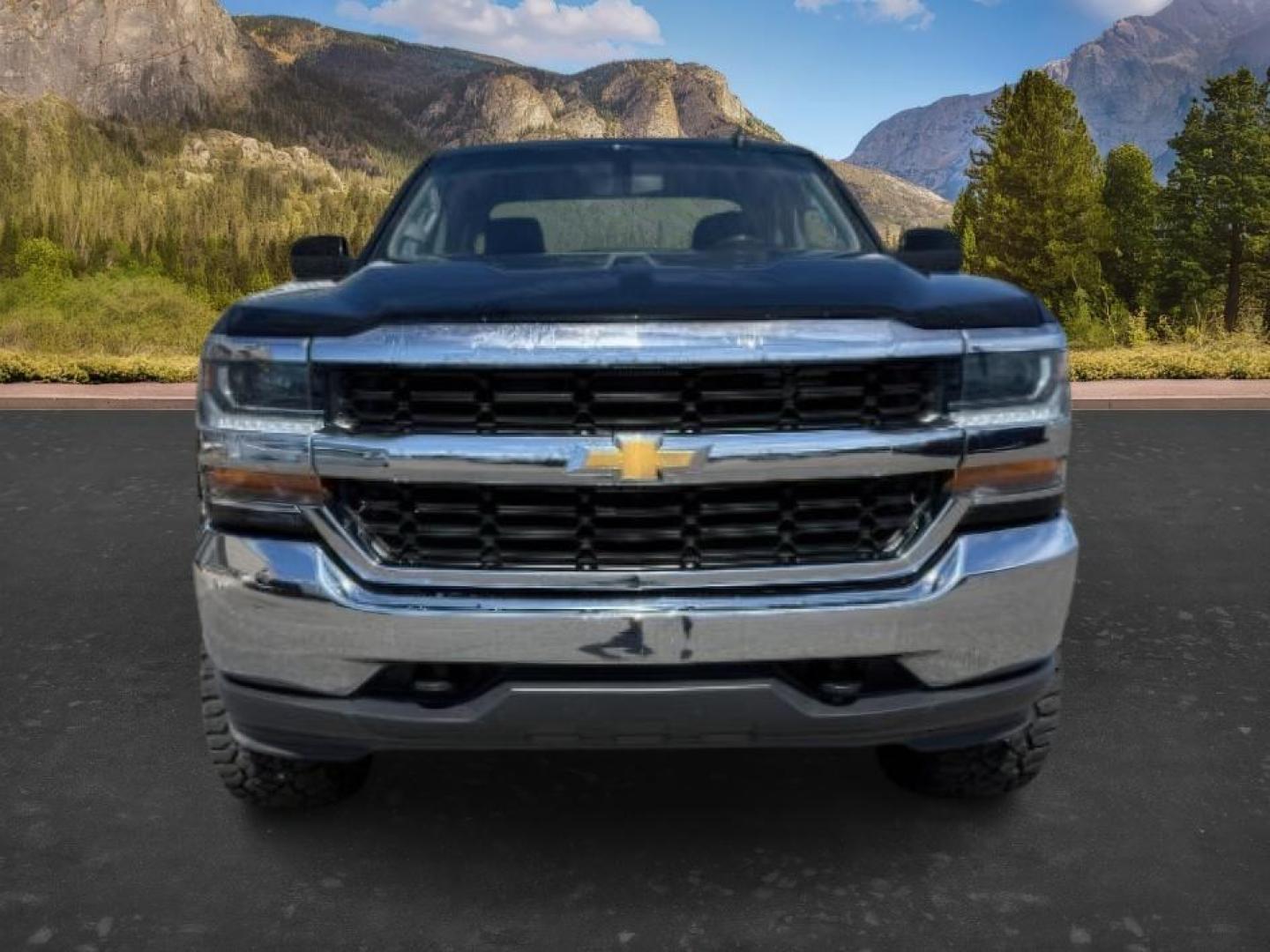 2019 BLACK /CLOTH Chevrolet Silverado 1500 Work Truck Double Cab 4WD (2GCVKPEC1K1) with an 5.3L V8 OHV 16V engine, 6-Speed Automatic transmission, located at 1235 N Woodruff Ave., Idaho Falls, 83401, (208) 523-1053, 43.507172, -112.000488 - At Timberline Auto, finding a great deal on your next vehicle is always easy! Our experienced sales staff's goal is to help find you the right vehicle at the right price! Our knowledgeable finance department has options for almost any credit score. We offer extended service contract options to prote - Photo#9