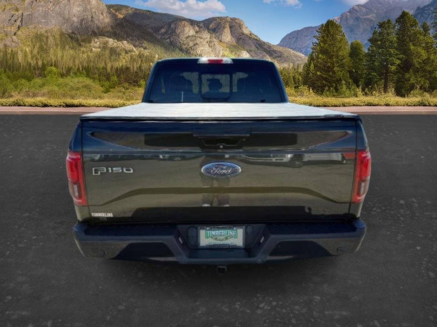 2015 BLACK /LEATHER Ford F-150 (1FTFW1EG9FF) with an 35L V6 ECOBOOST engine, Automatic transmission, located at 1175 N Woodruff Ave, Idaho Falls, ID, 83401, 43.506901, -111.999657 - At Timberline Auto, finding a great deal on your next vehicle is always easy! Our experienced sales staff's goal is to help find you the right vehicle at the right price! Our knowledgeable finance department has options for almost any credit score. We offer extended service contract options to prote - Photo#3