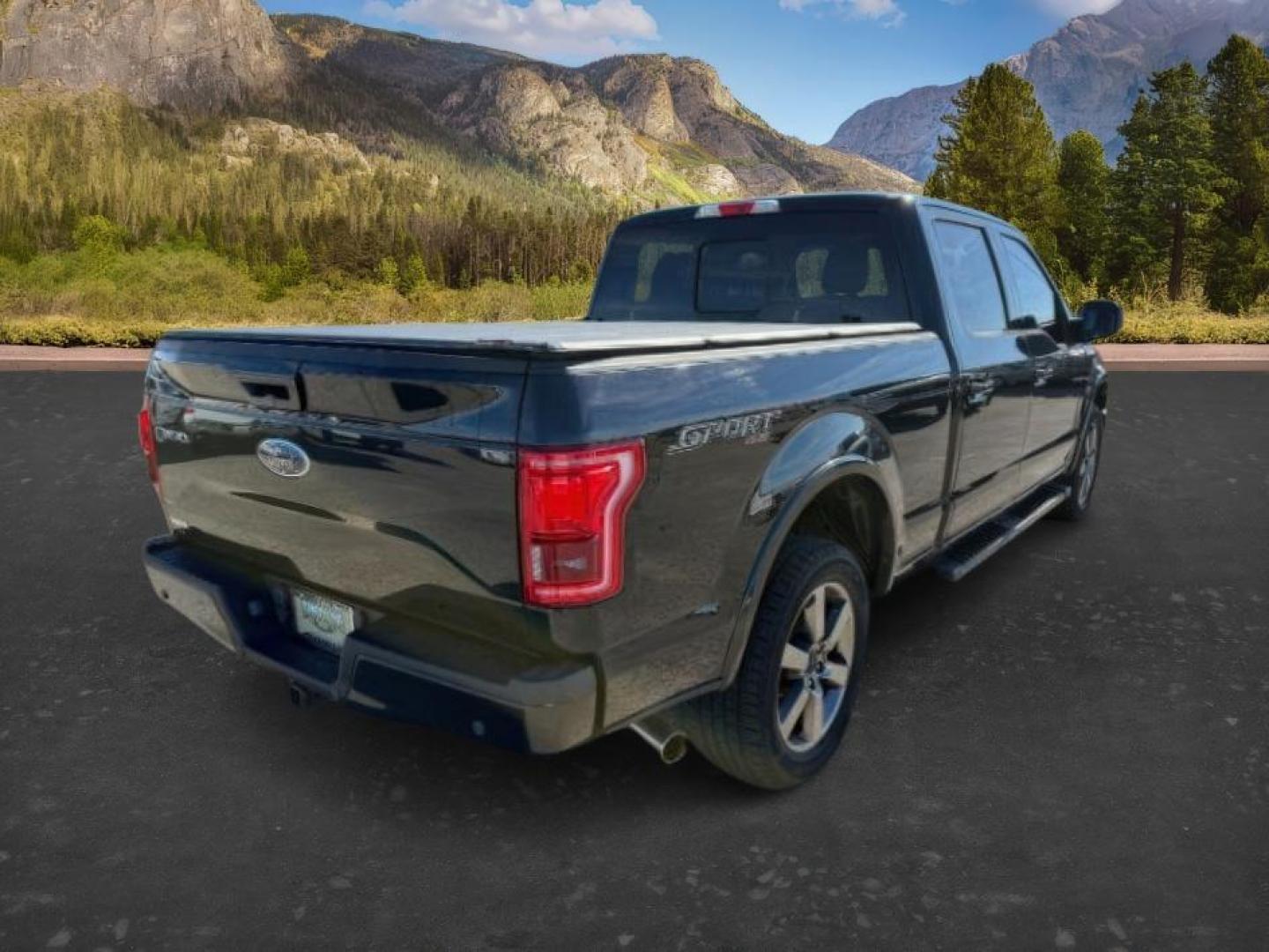 2015 BLACK /LEATHER Ford F-150 (1FTFW1EG9FF) with an 35L V6 ECOBOOST engine, Automatic transmission, located at 1175 N Woodruff Ave, Idaho Falls, ID, 83401, 43.506901, -111.999657 - At Timberline Auto, finding a great deal on your next vehicle is always easy! Our experienced sales staff's goal is to help find you the right vehicle at the right price! Our knowledgeable finance department has options for almost any credit score. We offer extended service contract options to prote - Photo#6