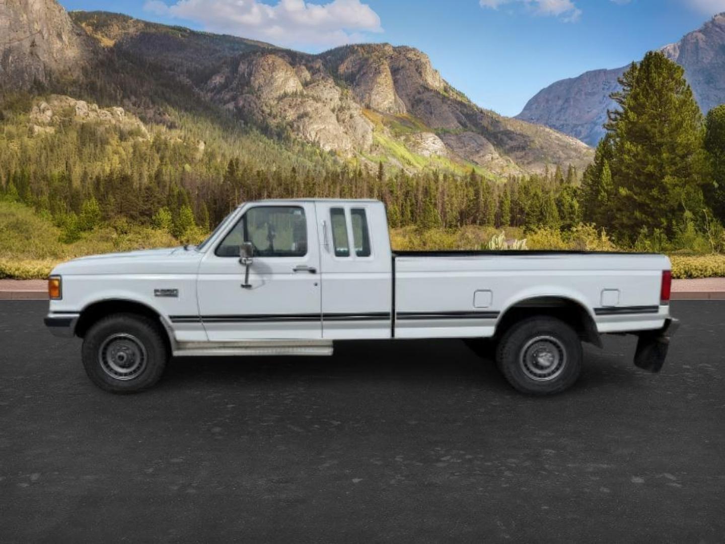 1990 WHITE /CLOTH Ford F-250 XLT (1FTHX26M2LK) with an 7.3L V-8 diesel direct injection engine, AUTOMATIC transmission, located at 1235 N Woodruff Ave., Idaho Falls, 83401, (208) 523-1053, 43.507172, -112.000488 - At Timberline Auto, finding a great deal on your next vehicle is always easy! Our experienced sales staff's goal is to help find you the right vehicle at the right price! Our knowledgeable finance department has options for almost any credit score. We offer extended service contract options to prote - Photo#1