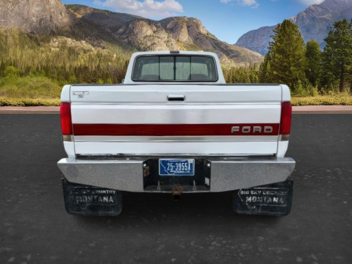 1990 WHITE /CLOTH Ford F-250 XLT (1FTHX26M2LK) with an 7.3L V-8 diesel direct injection engine, AUTOMATIC transmission, located at 1235 N Woodruff Ave., Idaho Falls, 83401, (208) 523-1053, 43.507172, -112.000488 - At Timberline Auto, finding a great deal on your next vehicle is always easy! Our experienced sales staff's goal is to help find you the right vehicle at the right price! Our knowledgeable finance department has options for almost any credit score. We offer extended service contract options to prote - Photo#3